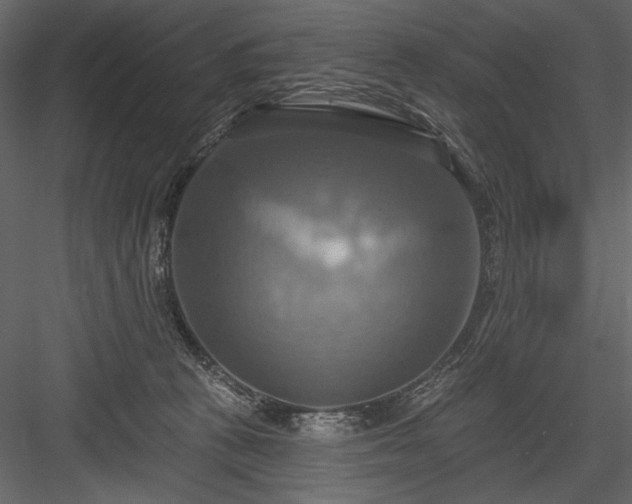 X0000084020273200702232240