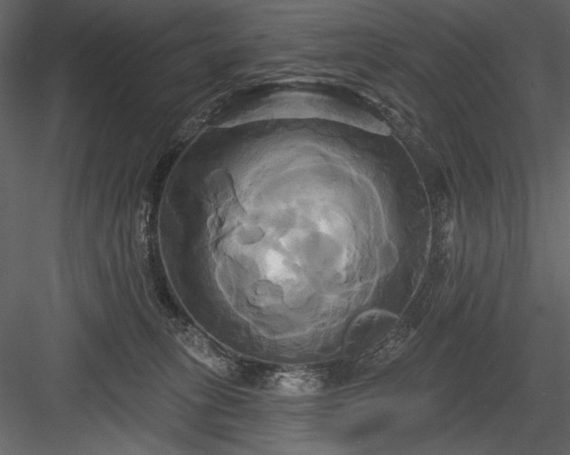 X0000084020275200702232240