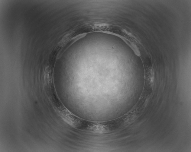 X0000084020276200702232240