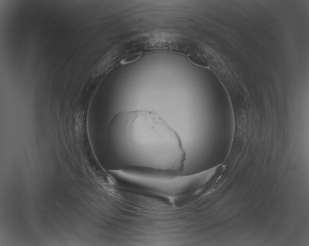 X0000084020278200702232240