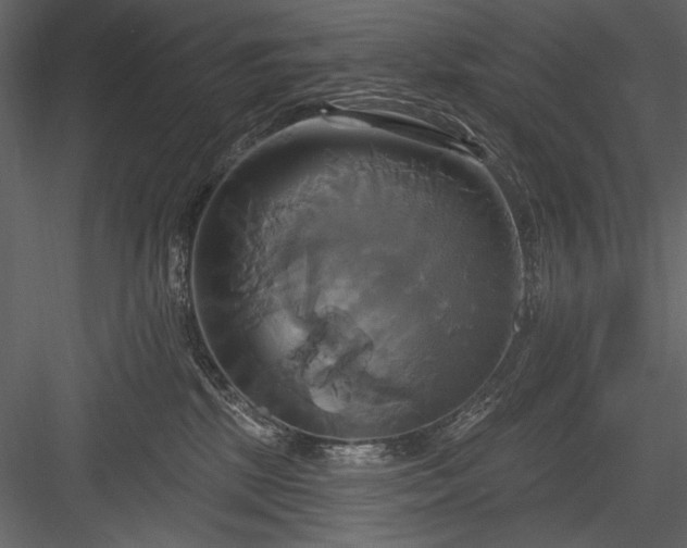 X0000084020281200702232240