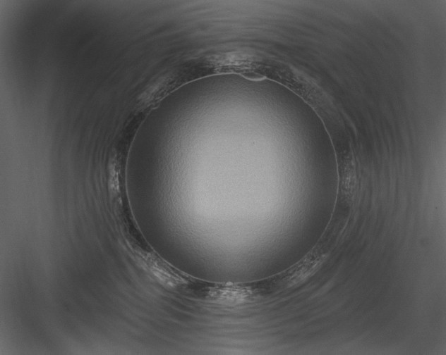 X0000084020282200702232240