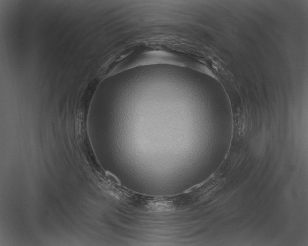 X0000084020283200702232240