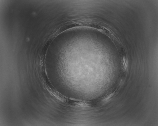 X0000084020284200702232240