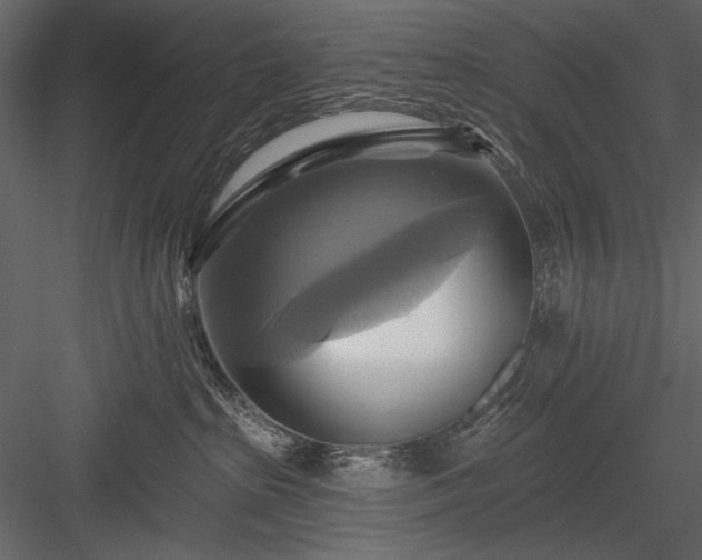 X0000084020285200702232240