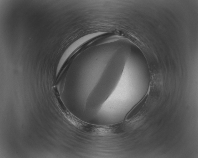 X0000084020286200702232240