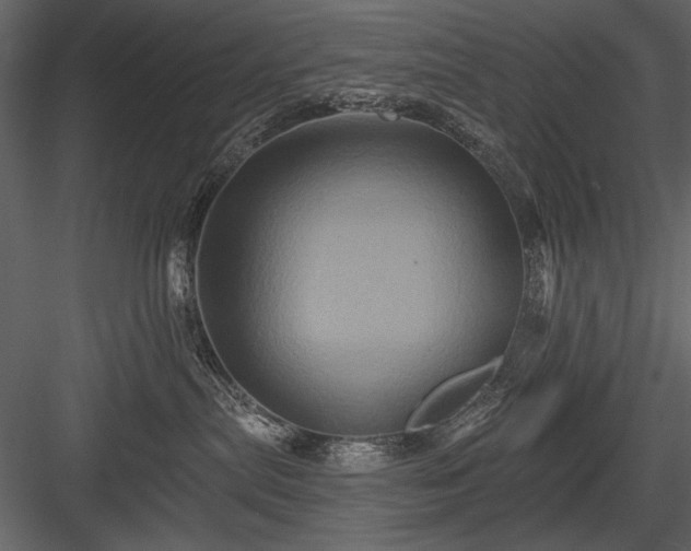 X0000084020287200702232240