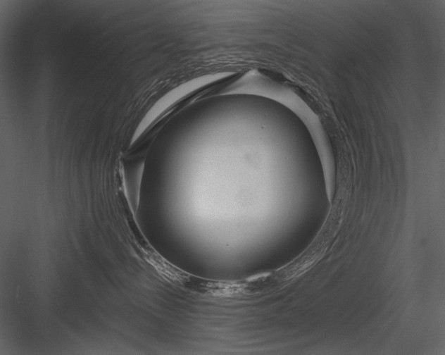 X0000084020288200702232240