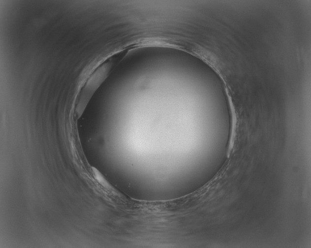 X0000084020289200702232239