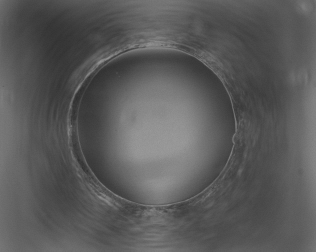 X0000084020290200702232239