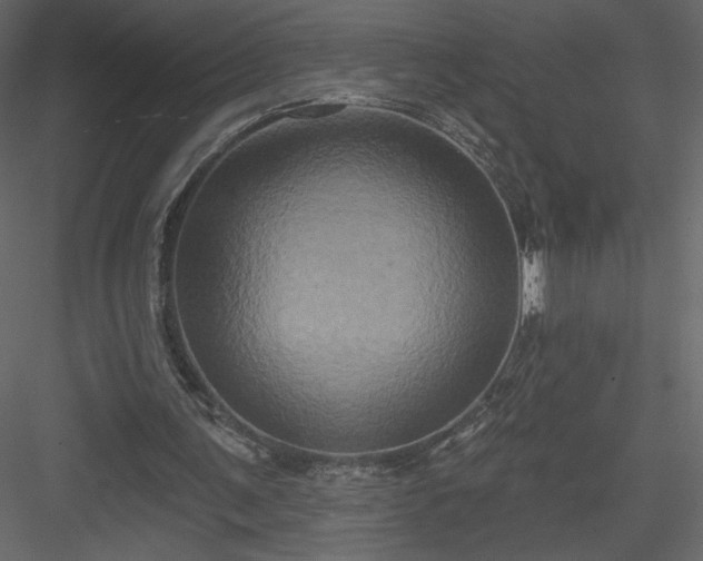 X0000084020291200702232239