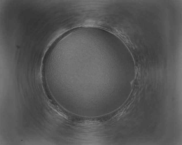 X0000084020292200702232239