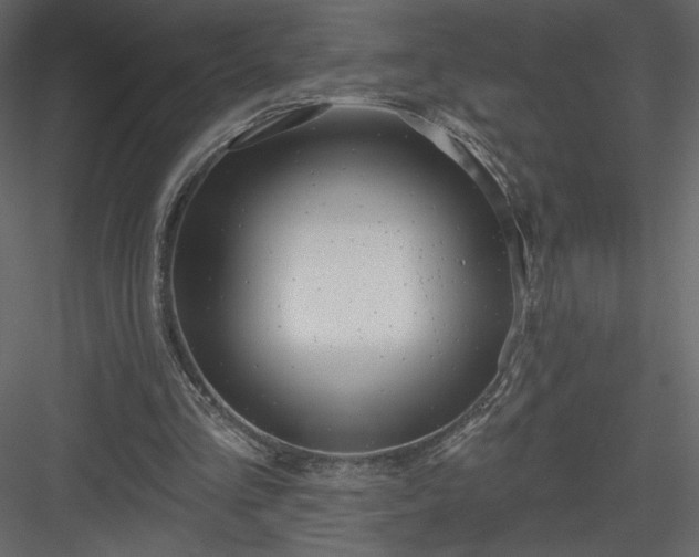 X0000084020293200702232239