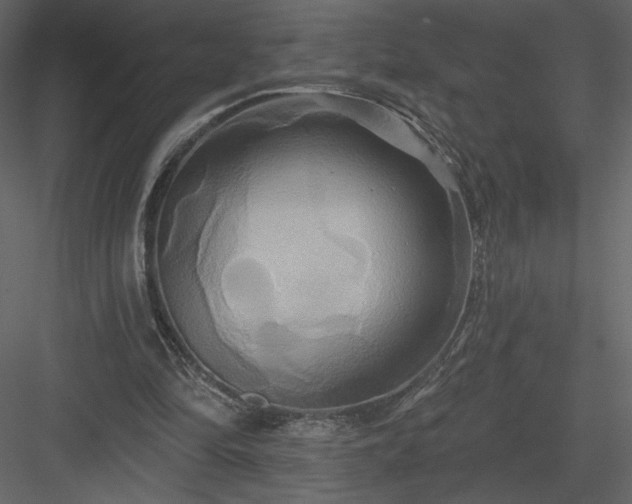 X0000084020294200702232239