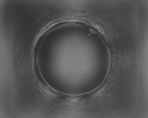 X0000084020295200702232239