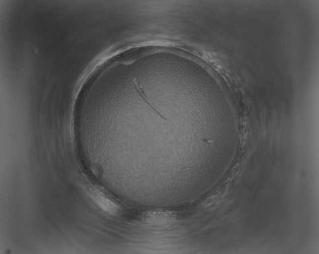 X0000084020296200702232239