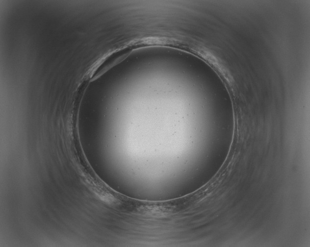 X0000084020297200702232239