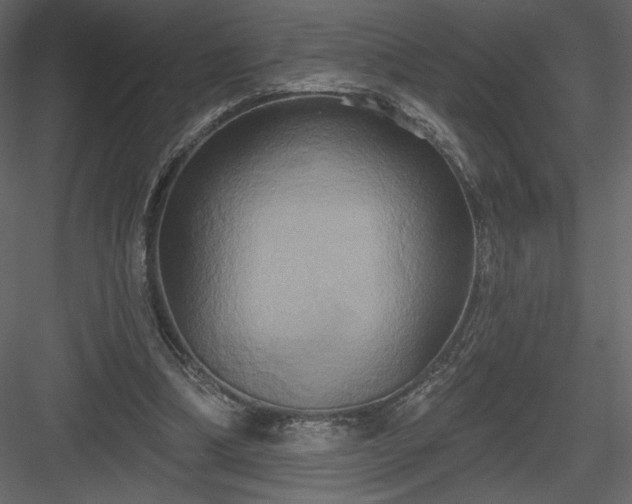 X0000084020298200702232239