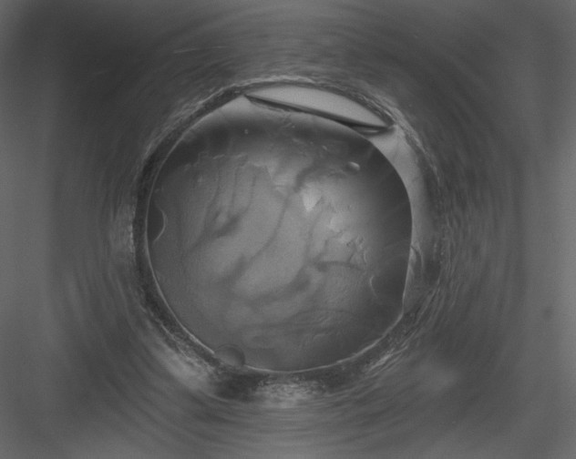 X0000084020299200702232239