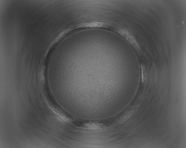 X0000084020300200702232239