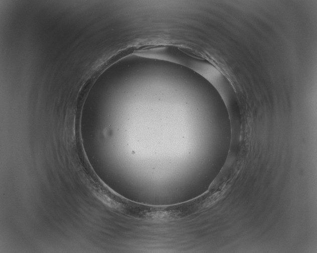 X0000084020301200702232239