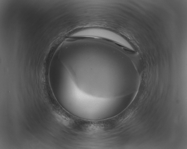 X0000084020303200702232239