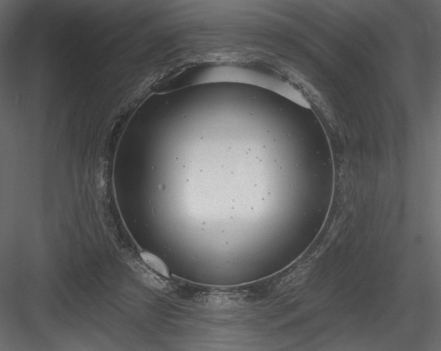 X0000084020305200702232239