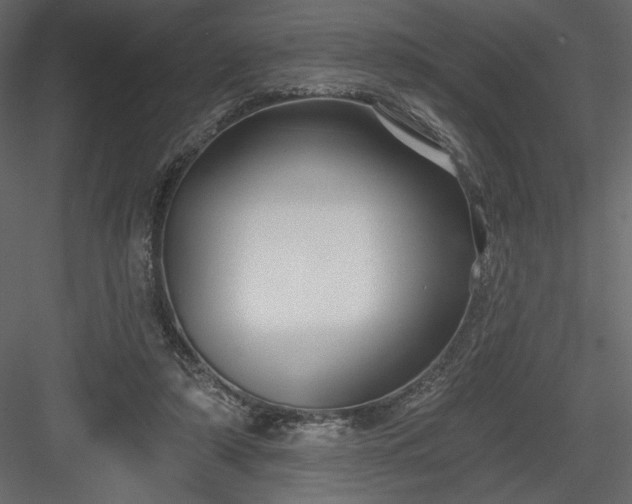 X0000084020306200702232239