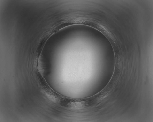 X0000084020307200702232239