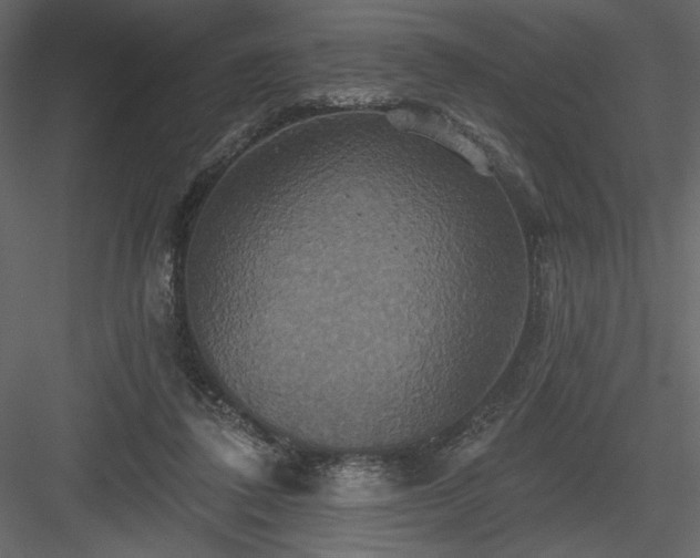 X0000084020308200702232239