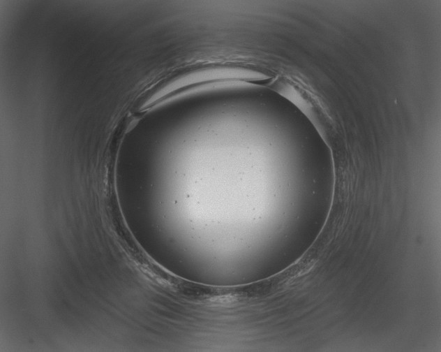 X0000084020309200702232239