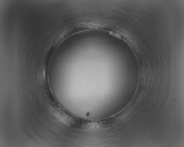 X0000084020310200702232239