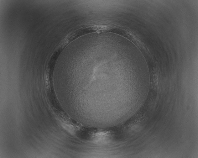 X0000084020312200702232239