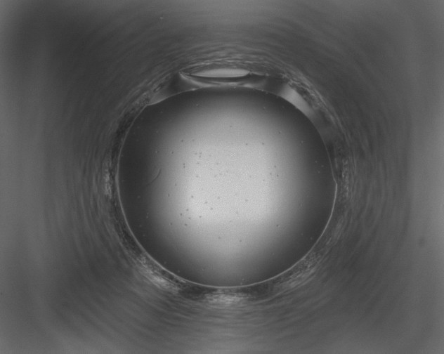 X0000084020313200702232239