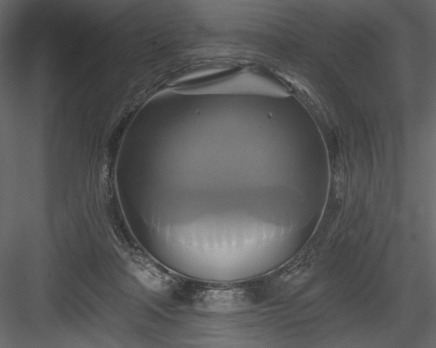 X0000084020314200702232239