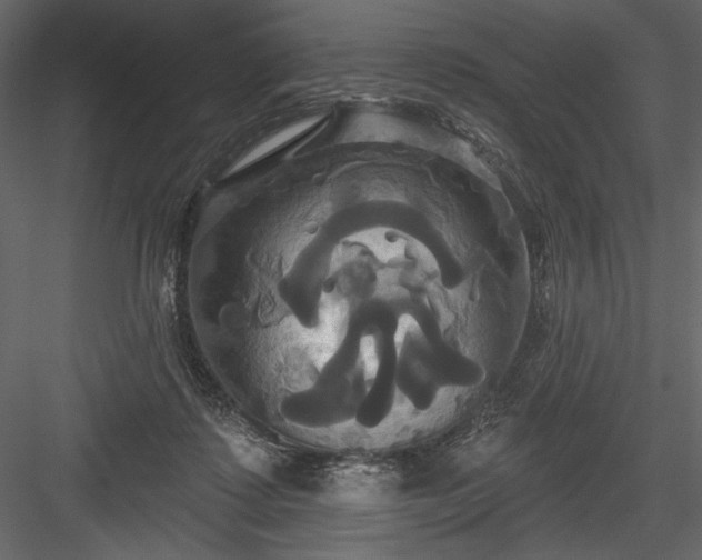 X0000084020315200702232239