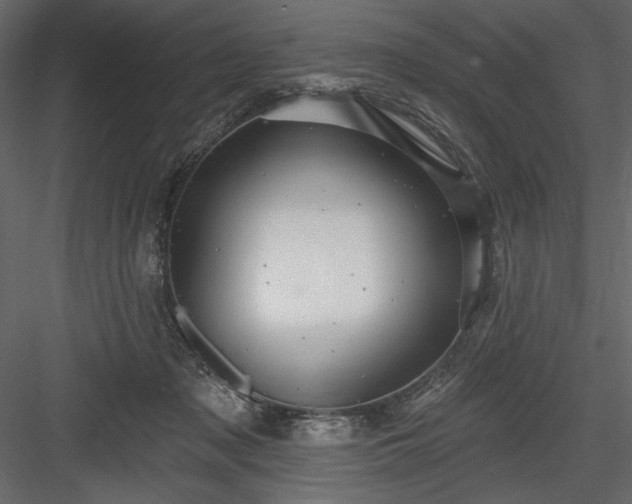 X0000084020317200702232239