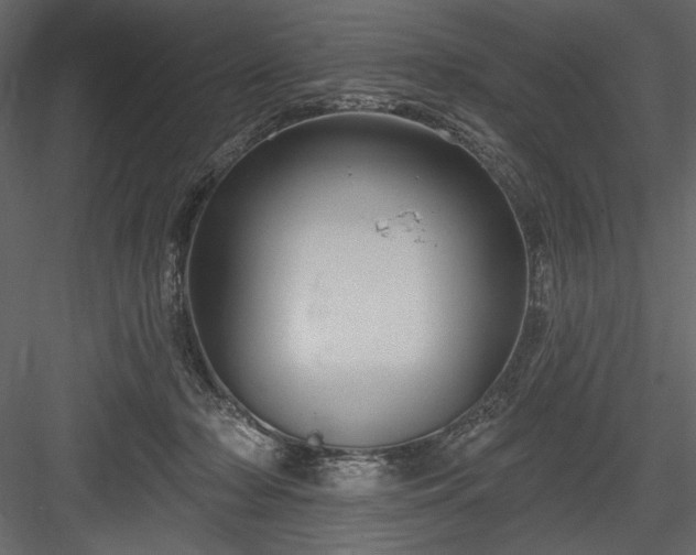 X0000084020318200702232238