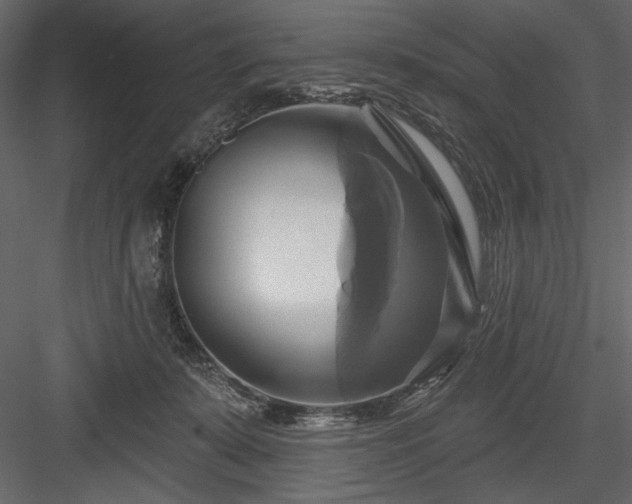 X0000084020319200702232238