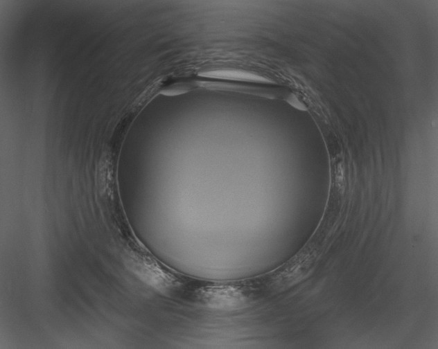 X0000084020322200702232238