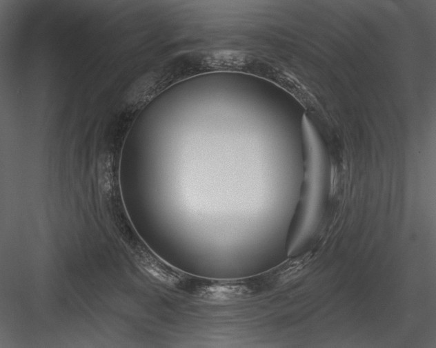 X0000084020323200702232238