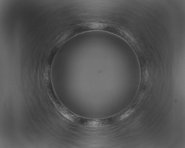 X0000084020325200702232238