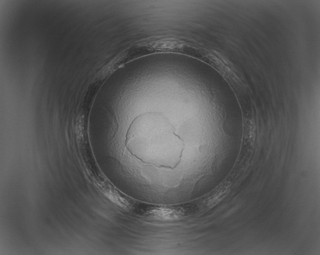 X0000084020326200702232238