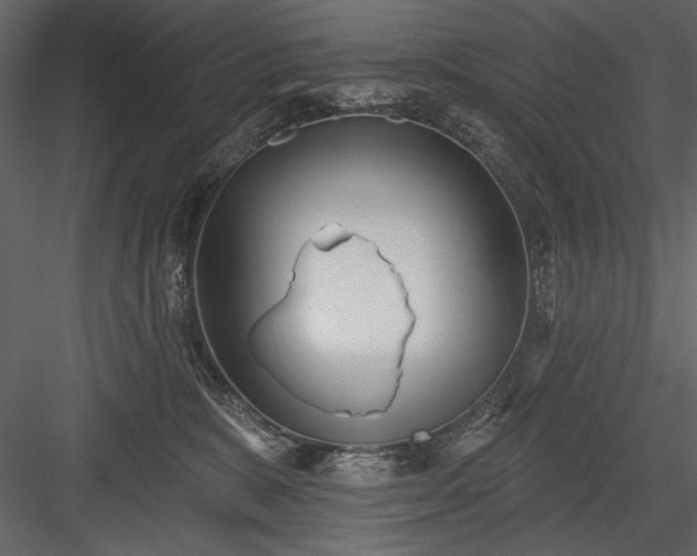 X0000084020327200702232238