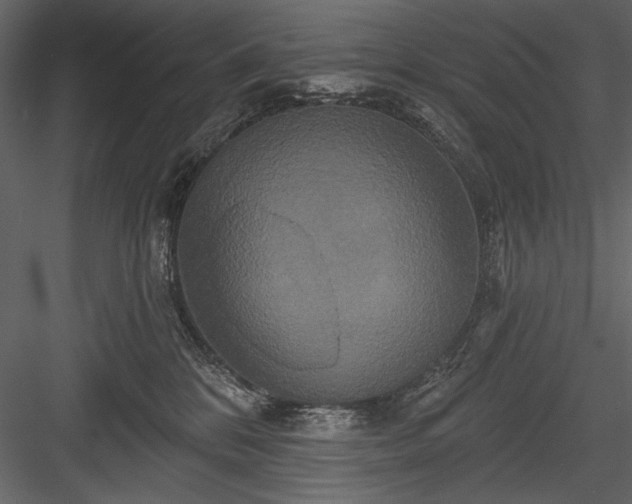 X0000084020328200702232238