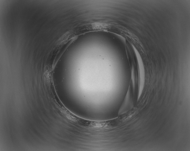 X0000084020329200702232238