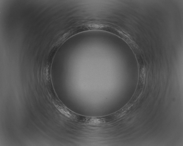 X0000084020330200702232238