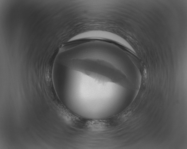 X0000084020331200702232238