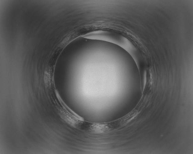 X0000084020333200702232238