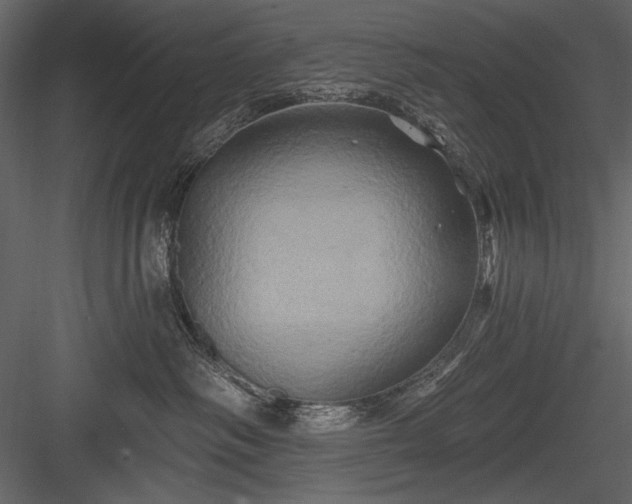 X0000084020334200702232238